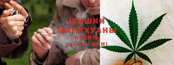 бошки Иннополис