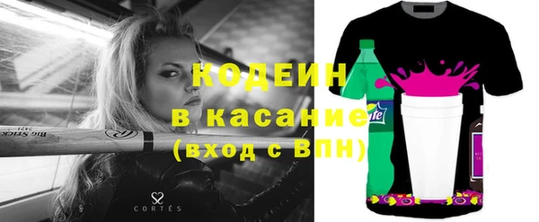 бошки Инта