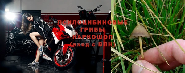 бошки Иннополис