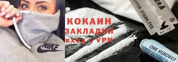 бошки Инта