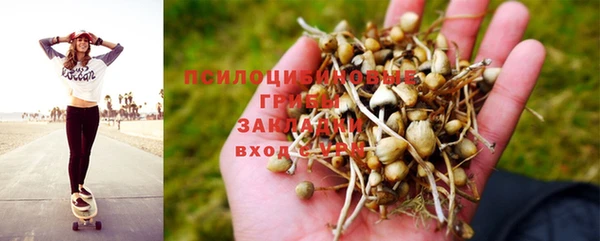 бошки Иннополис