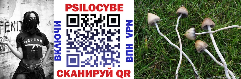 Псилоцибиновые грибы GOLDEN TEACHER  Купить закладки  Балашов 