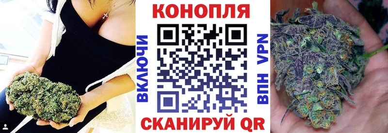 Бошки марихуана сатива  Купить закладки  Балашов 
